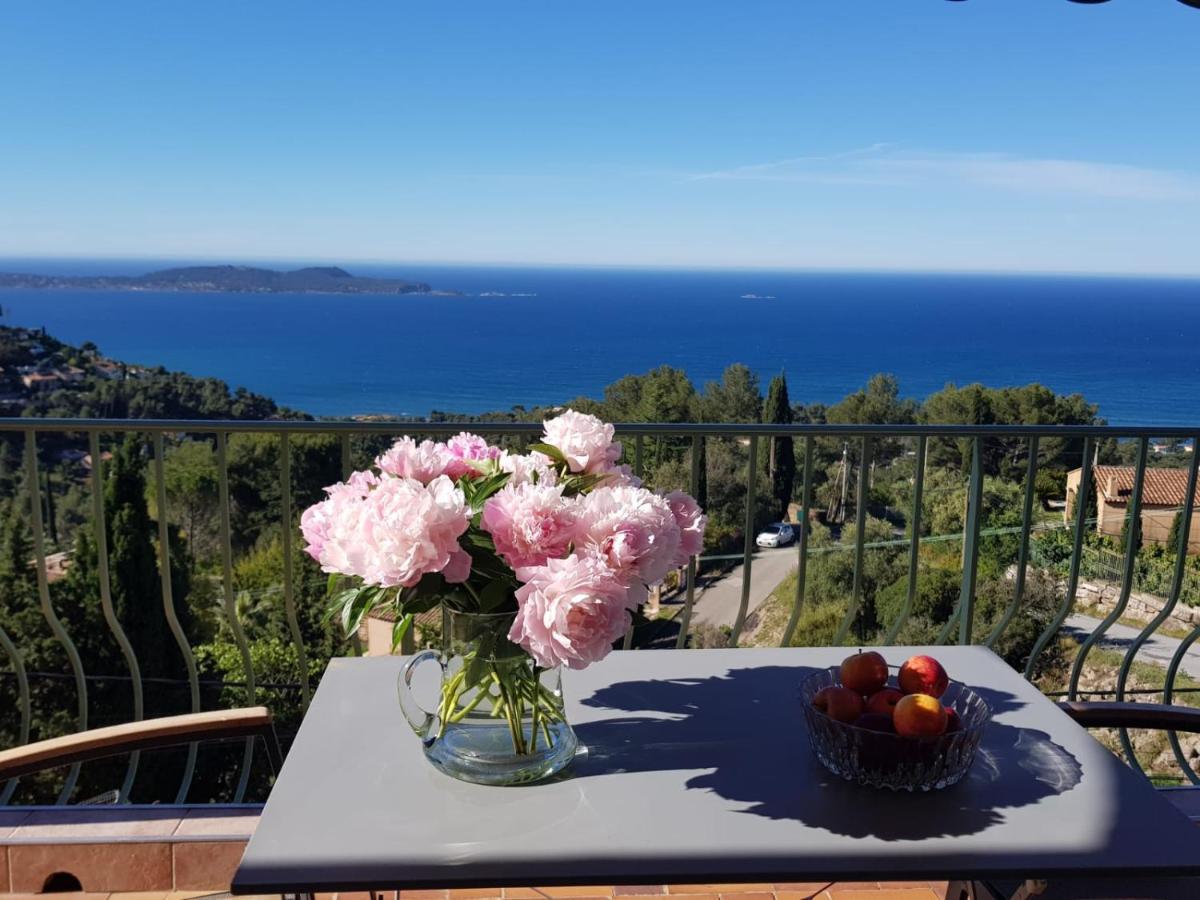 Appartement Simone *